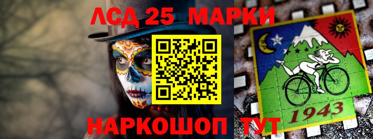 LSD-25 экстази  Лсд 25 экстази ecstasy  Вход с VPN  Курчалой  Лсд 25 экстази ecstasy 