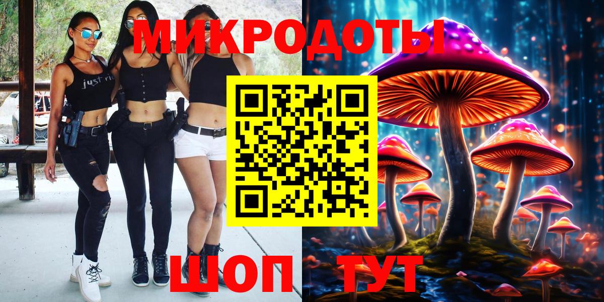 Псилоцибиновые грибы Cubensis Курчалой