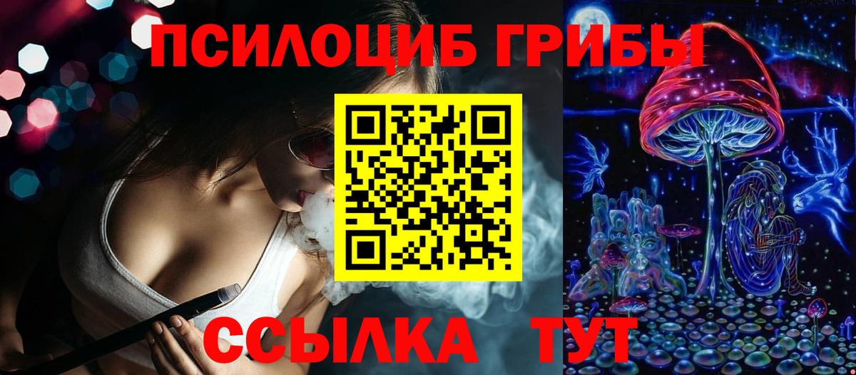 Псилоцибиновые грибы Magic Shrooms  Вход с VPN  Галлюциногенные грибы ЛСД  где можно купить   Курчалой 
